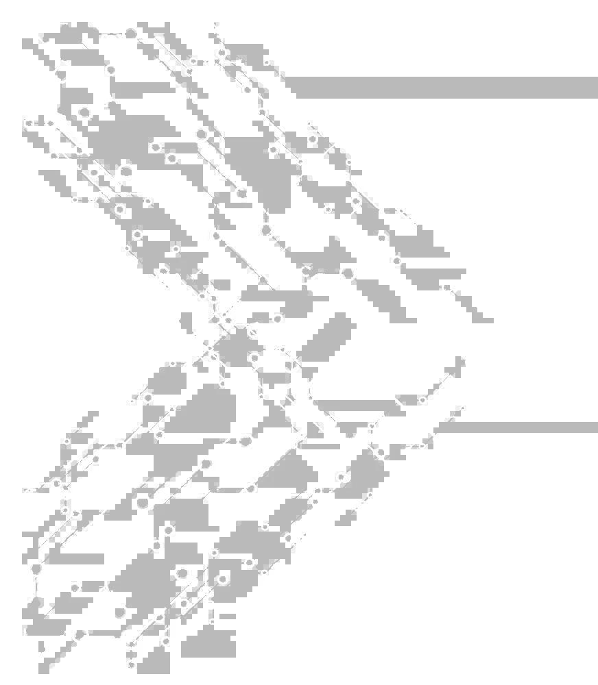 Men's Competition Barbell Set